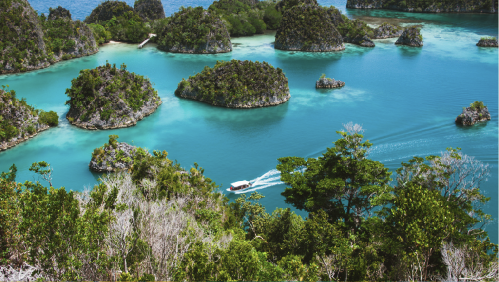 Dive into Paradise: Raja Ampat – Indonesia’s Hidden Gem